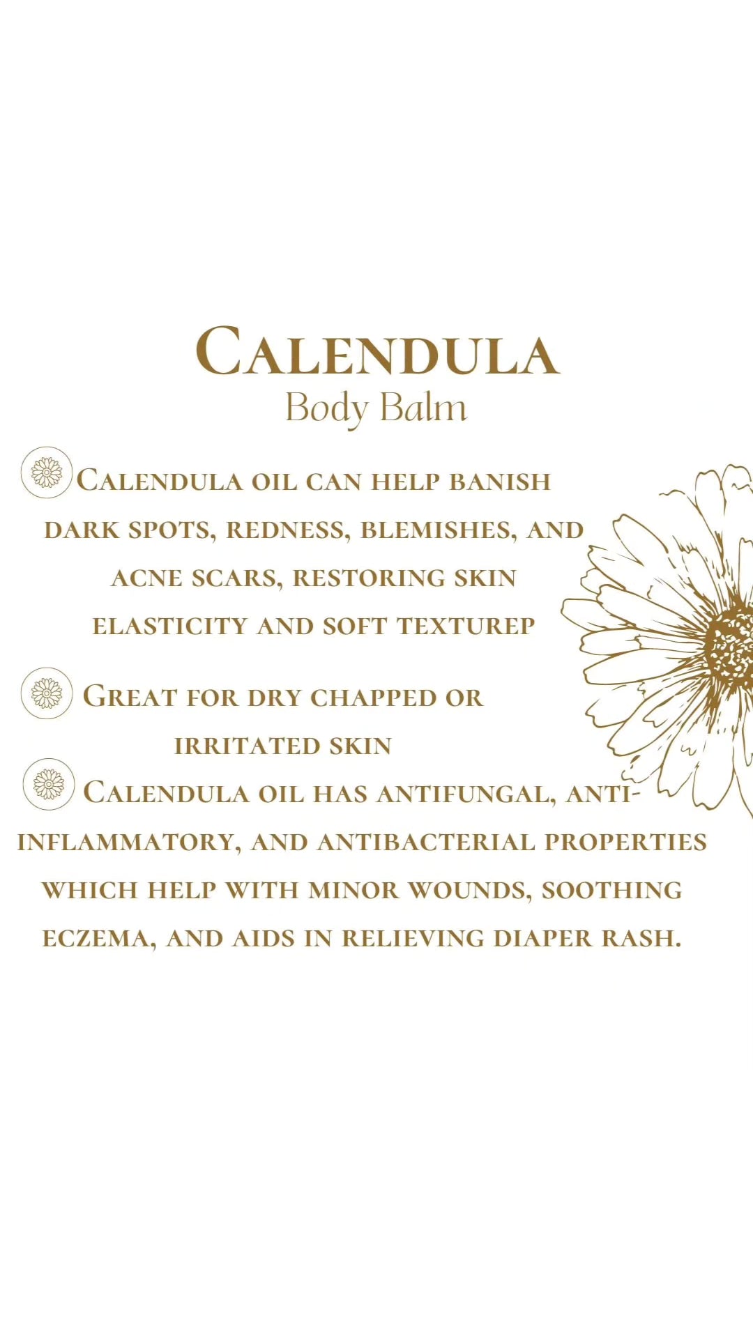 Calendula Body Balm